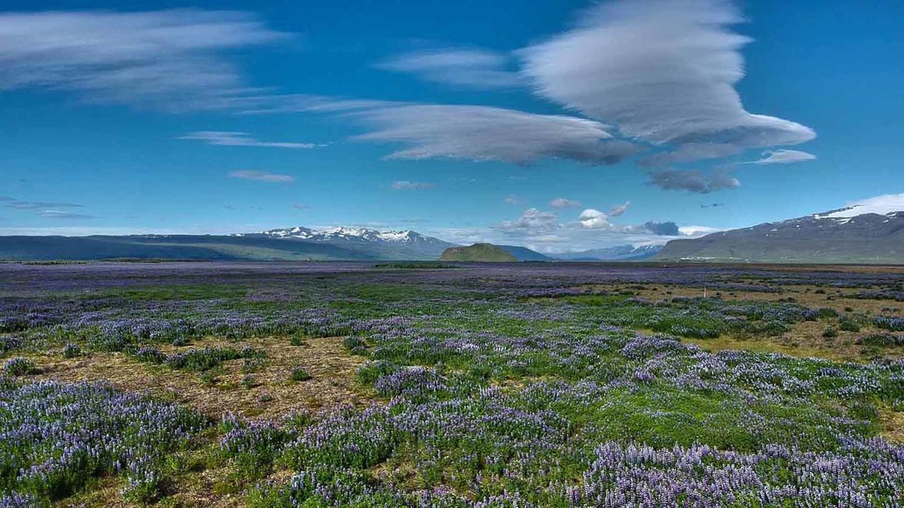 Hotel Selja Хвольсведлюр Екстер'єр фото